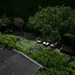 Forum 4*